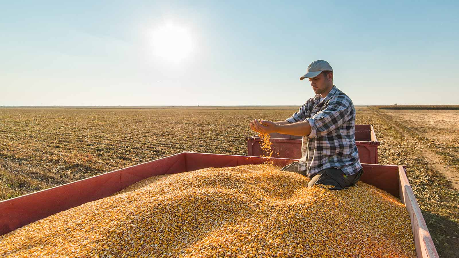 Hombre trabajando en el campo