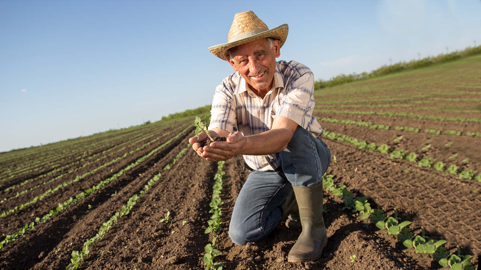 trabajador del campo mostrando su cosecha